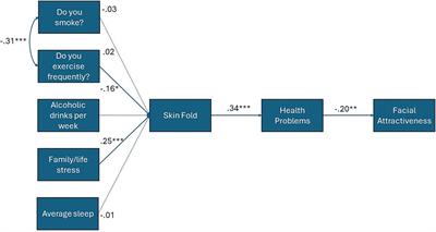 Do lifestyle and hormonal variables explain links between health and facial attractiveness?